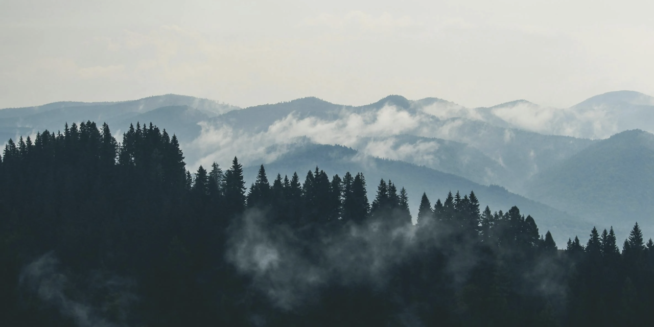 Lorem 2 impsum dolor